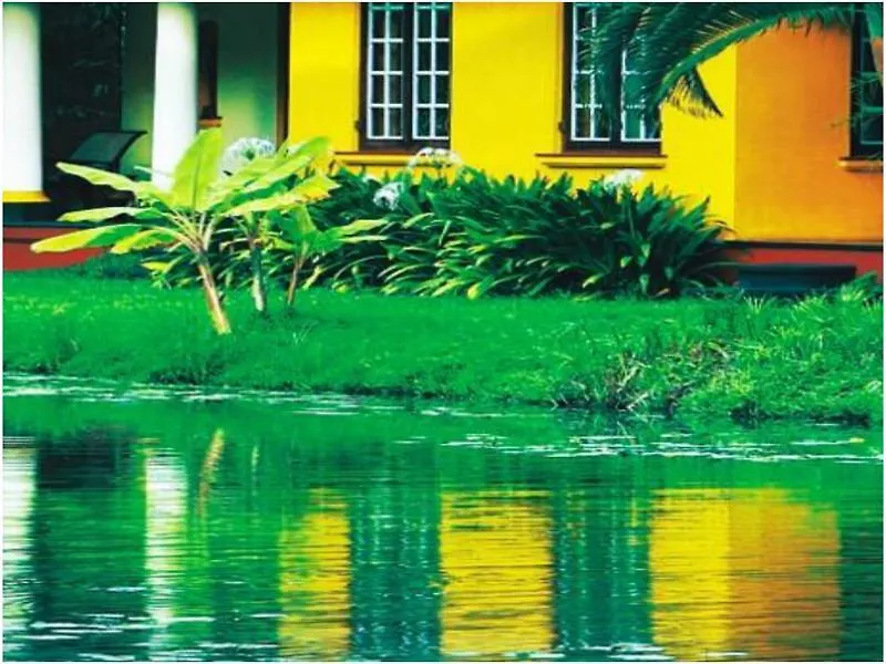 Taj Kumarakom Resort And Spa Kerala