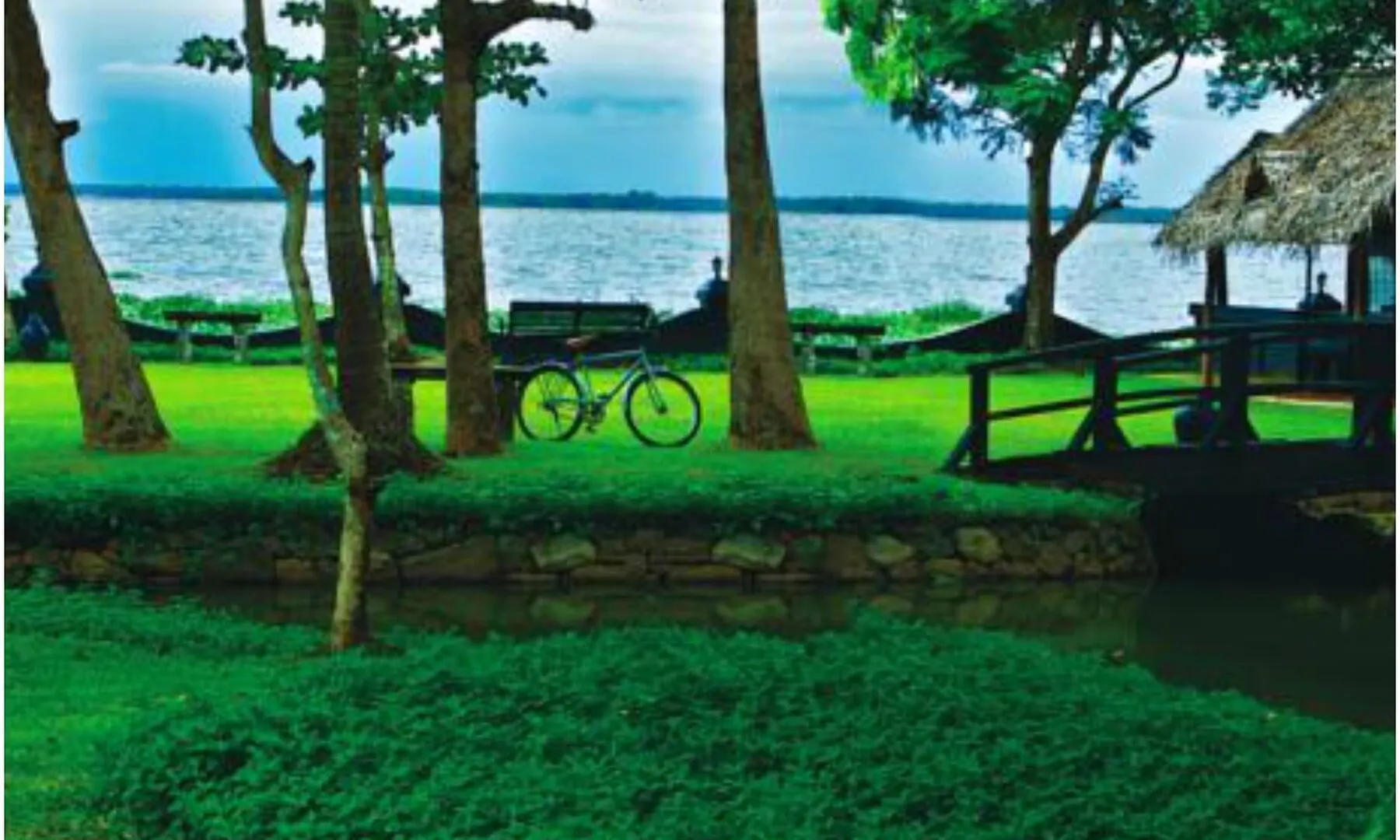 Taj Kumarakom Resort And Spa Kerala